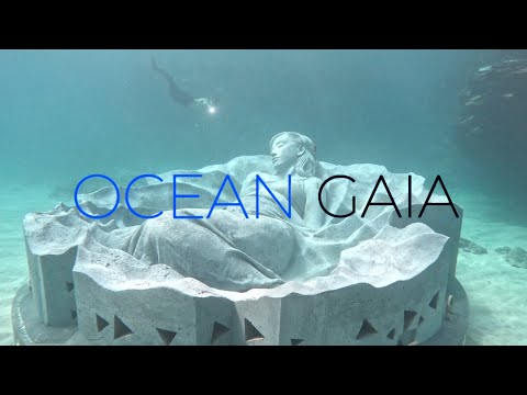 【徳之島町ふるさとCM2025】水中彫刻『OCEAN GAIA』