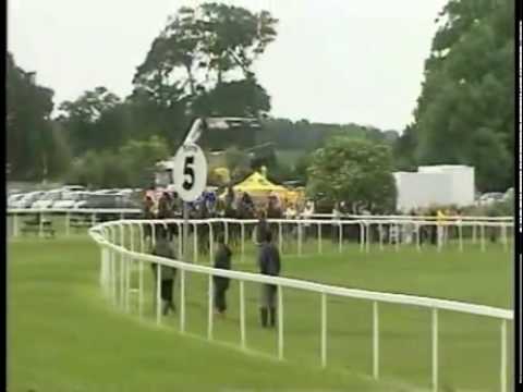 Godolphin Greats - 17 -SHAMARDAL - G1 ST JAMES'S PALACE STAKES