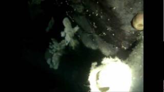 preview picture of video 'FURRY CREEK SCUBA DIVING'