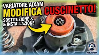 Montaggio Variatore Motore AIXAM | Sostituzione e Modifica Cuscinetto Superiore