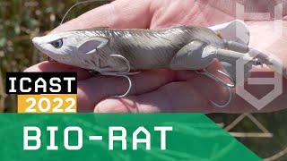 Video thumbnail 1