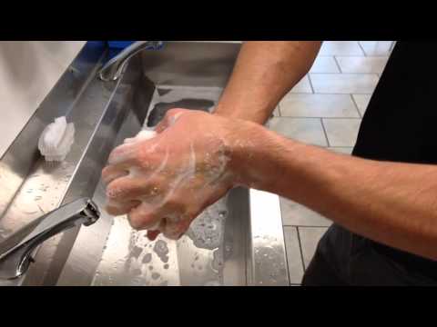 Needlers food industry hand washing guide