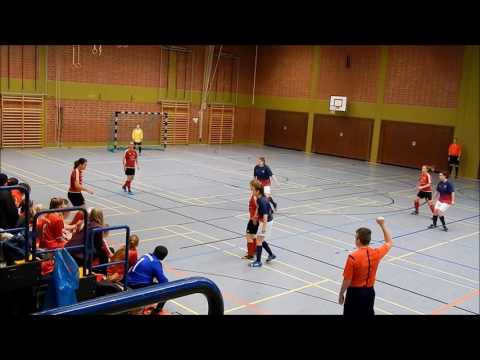 TSG Kammerbach - SG Pfaff./Schemmergrung Frauenhallenmeisterschaft 2016/17