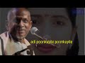 Adi Poonkuyile Poonkuyile Hd Digital 5 1 Audio Song