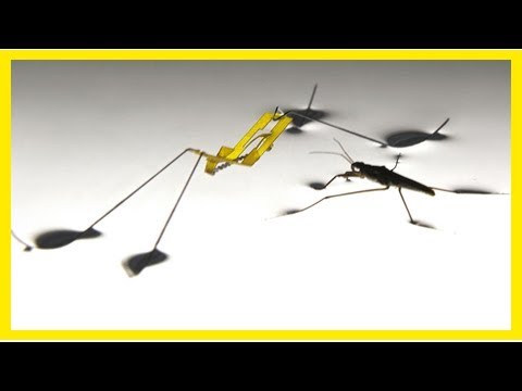 Video: tiny robot walks, jumps on water