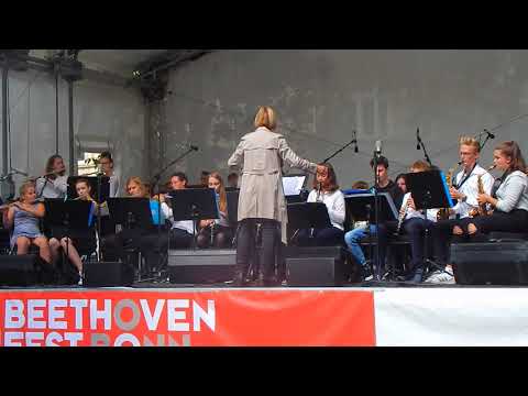 Star Wars - John Williams Arr. Michael Story (HBG Blasorchester)