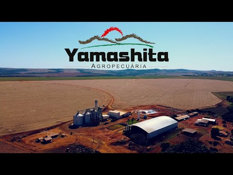 44 anos Yamashita em Goiás - Nova Aurora