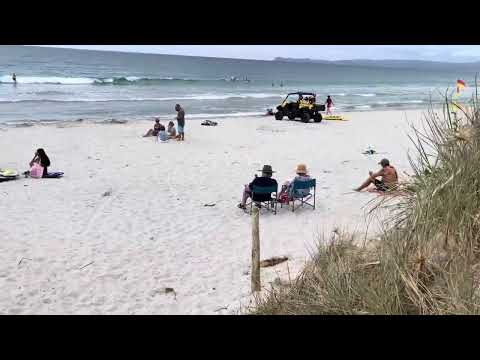Walking 🚶‍♂️ down to the beach 🏖️ #whangarei #newzealand