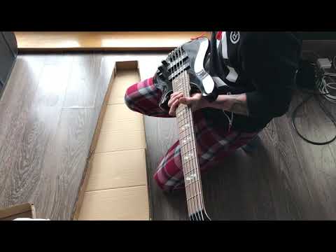 Harley Benton B-550BK Review