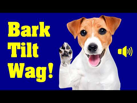 Dogs React to 10 Funny Sounds - Bark, Tilt &amp; Wag!