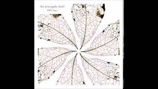 The Pineapple Thief - Subside