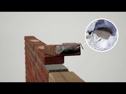 Thumbnail for video tnE5Tn5X25k