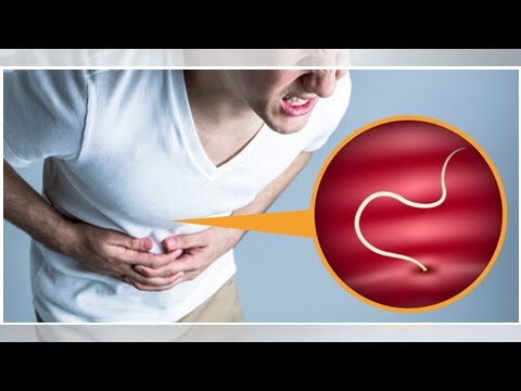 tinidazole giardia recovery time