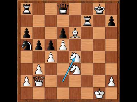Mečevi šampiona, pobeda uz fantastičnu žrtvu figure 🌟🌟🌟🌟🌟 PETROSIAN vs SPASSKY #3364