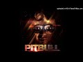 Pitbull Rain Over Me Feat Marc Anthony Audio