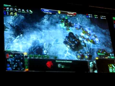 oGsMC vs TSLPuMa - NASL Game 7 & Victory (crowd footage)