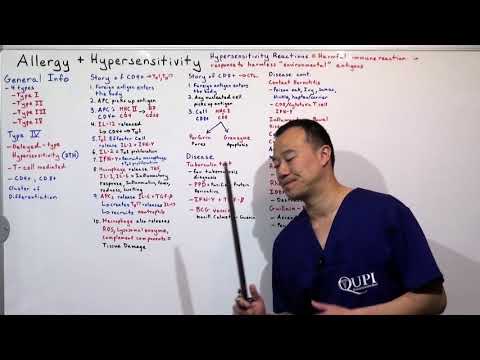 Allergy and Hypersensitivity Type IV Clinical Immunology