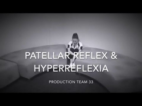Patellar Reflex & Hyperreflexia