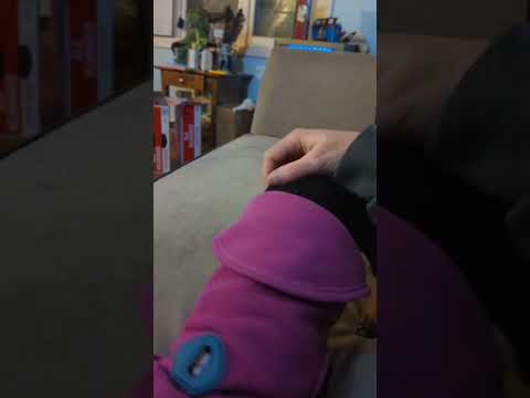 this puppy is so cute.  i love kush