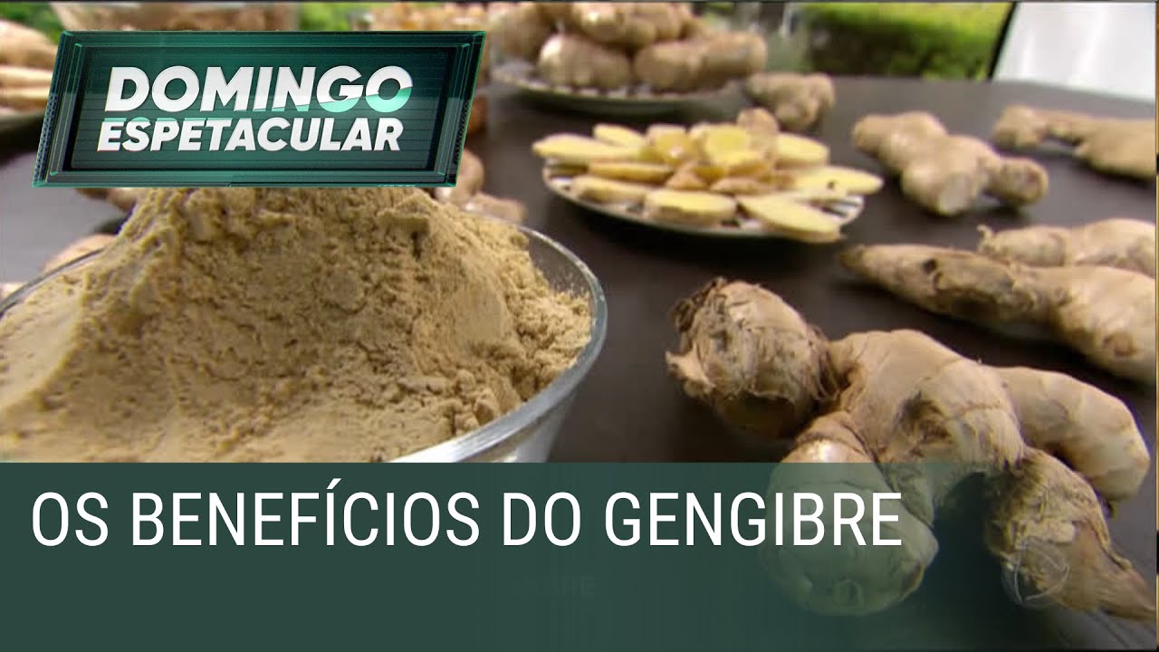 MITOS E VERDADES | Conheça os benefícios do gengibre