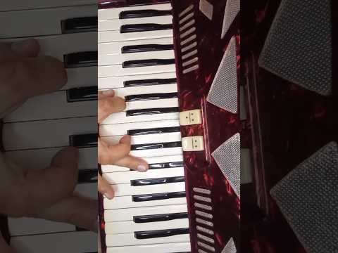 CHANGUITO PERDIDO - PASTOR LUNA #acordeon #añatuya #santiagodelestero #chamame #litoral #argentina