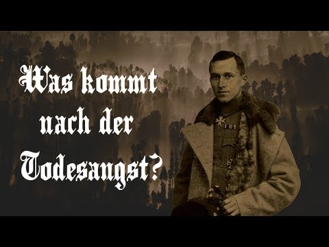 Fear, Politics, Modernity - Ernst Jünger's Walk in the Forest, a Confrontation