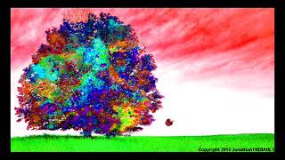 The Tree Of Life Soundtrack -Emergence Of Life (Alexandre Desplat)