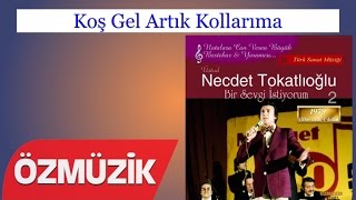 Koş Gel Artık Kollarıma - Necdet Tokatlıoğlu (Official Video)