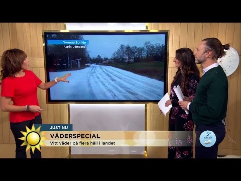 Väderspecial: "Nu är snön på gång" - Nyhetsmorgon (TV4)
