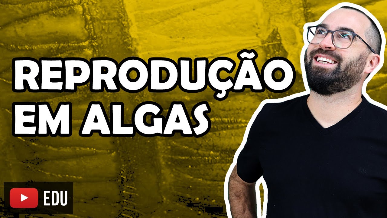 Reprodução em Algas - Aula 20 - Módulo IV: Microbiologia, Fungos e Protistas | Prof. Gui