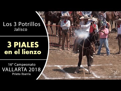 3 of 3 Piales Enrique Ramirez Pulido - Vallarta Tournament 2018