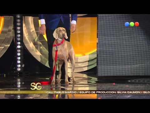 César Millán advises Susana about Telma - Susana Giménez