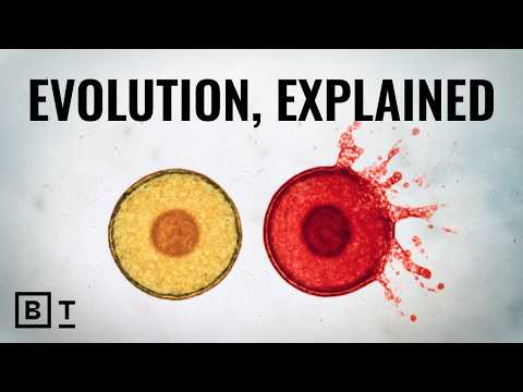 Big Think and Big Think Clips