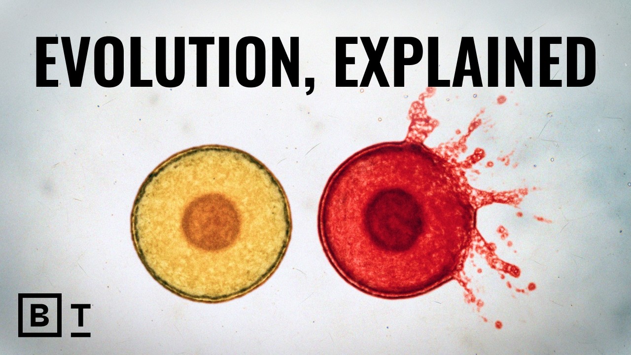The history of natural selection, in 7 minutes | Paul Nurse