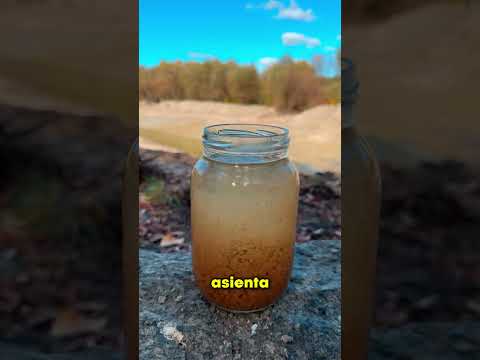 The Best Method for Cleaning Dirty Water 😲