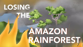 Amazon Rainforest| How we might lose the Amazon Rainforest