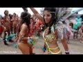 Trinidad Carnival 2014 - Fantasy 