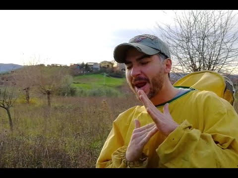 Lo spot scanzonato de Le Pecchie di Sant'Agata. Tra api, miele e allegria