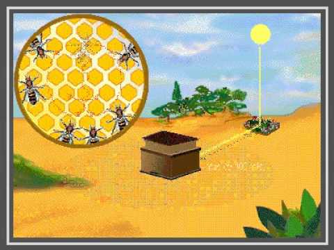 Miniatura del video