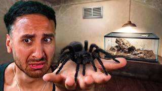 I Bought a PET SPIDER & It Won't Stop Growing... | Lurking Horror Game