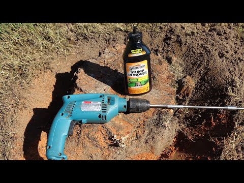 Stump Remover Menards