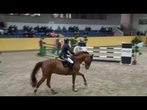 Melvin Senst und Chaciamo - Springprüfung Kl. S* m. St.