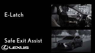 Re: [討論] lexus NX的門把設計 十個人有九個不會用