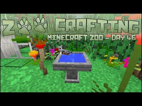 The Philosopher's Bird Bath 🐘 Zoo Crafting: Season 2 - Episode #46