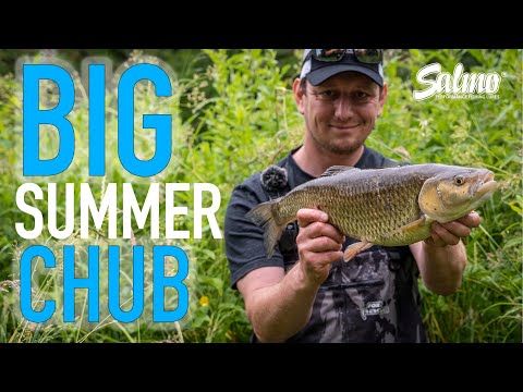CATCH BIG CHUB THIS SUMMER | River Chub fishing with Ben Smith
