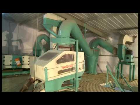 Multipurpose Cleaning Plant