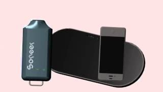 Introducing The Soneer