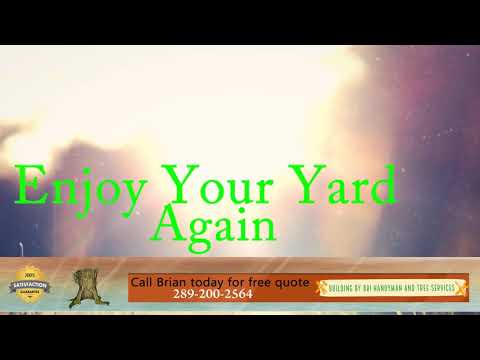 BuildingByBri Handyman & Tree Services video.