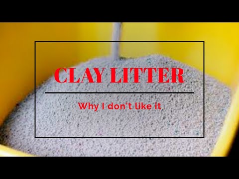 The Dangers Of Clay Litter
