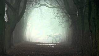 Malaika(My angel)/Harry Belafonte &amp; Miriam Makeba